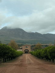 Campus scenes documented in Stellenbosch during afternoon hours