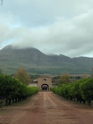 Campus scenes documented in Stellenbosch during afternoon hours
