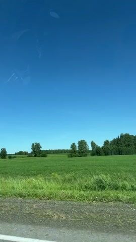 The video shows a wide shot of a vast, green field under a bright blue sky. There are scattered trees and shrubs visible on the horizon, forming a natural border to the field. The foreground shows a dirt road or path. The perspective suggests the video was taken from a moving vehicle, possibly a car, as indicated by faint reflections on the surface, likely a window. The overall scene is rural and appears to be during daylight hours with clear weather. No people or animals are visible in the frame.