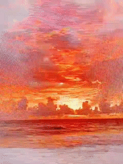 Sunset and nature scenes captured during evening hours