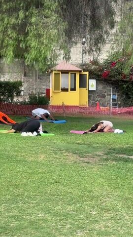 The video shows a group of four people doing yoga on a grassy lawn. They are each on individual yoga mats of different colors. They are all bent over with their arms stretched out in front of them. There is a small yellow building with a sign in the background. A tree hangs over the scene on the left. There is a low stone wall behind the building. The video appears to have been shot during the day.