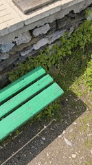 Person filmed standing on gravel path near green bench