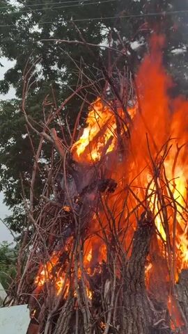 A large bonfire is burning intensely, consuming a pile of branches and logs. The flames are predominantly orange and yellow, with visible smoke rising. The bonfire is set against a backdrop of green trees. The camera is positioned close to the fire, capturing the heat and intensity of the flames. The time stamps indicate a static shot of the fire burning.