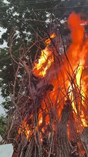 Outdoor bonfire gathering in a Fokino field, July 2026
