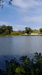 Dnipro riverbank morning: water, docks, forest paths, and frog graffiti
