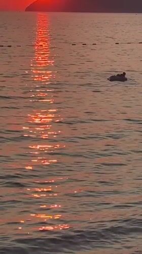 Golden hour across Bar, Montenegro's Adriatic waterfront