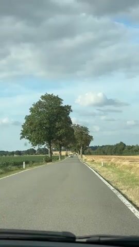This is a first-person view from a car driving down a paved road lined with trees. The road is asphalt and has a white line marking the edge. On the left side of the road are fields, and on the right are fields of cut grain. A white car is visible in the distance, driving in the same direction. The sky is partly cloudy with a mix of blue and gray clouds. The trees are tall and have green leaves. The scene appears to be in a rural area.