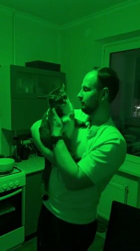Man holds cat in kitchen with changing colored lights