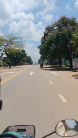 The video shows a view from a moving motorcycle on a paved road. The road has two lanes with a double yellow line separating them and white directional arrows painted on the surface. Another motorcycle is ahead in the same lane. A white car is further ahead in the distance. Trees line both sides of the road. Some of the trees on the right have pink blossoms. There is a blue sky with scattered clouds overhead. A black wire basket is visible in the lower left of the frame, and the motorcycle’s side mirror is visible in the lower right. A helmet comes into view at the left of the screen.