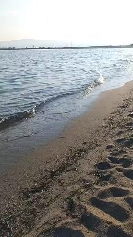 This video captures a serene beach scene in Neoi Epivates, Greece. The sun is shining, indicating it's daytime, likely morning or afternoon, with a clear sky. Gentle waves lap the sandy shore, creating a soothing rhythm. The water is a deep blue, stretching out to the horizon where it meets a hazy sky. Along the distant coastline, there are faint outlines of structures and possibly hills or mountains. The sand on the beach is a light brown, marked with footprints and scattered with seaweed and small shells. The overall atmosphere is peaceful and tranquil, evoking a sense of calm and relaxation. There is no visible text in the video.