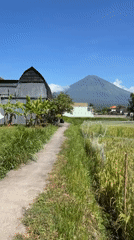Rural Indonesia scenes: mountain views, lizard, motorcycle rider documented