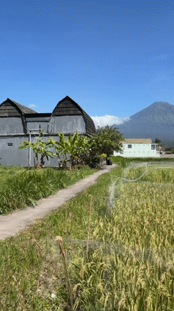 Rural Indonesia scenes: mountain views, lizard, motorcycle rider documented