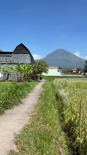 Rural Indonesia scenes: mountain views, lizard, motorcycle rider documented