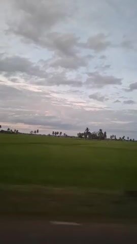 The video shows a blurred view of a green field with trees in the distance, likely palm trees, under a cloudy sky. The perspective suggests movement, possibly from a vehicle. The lighting indicates it's either dawn or dusk. There are no people or specific objects visible in the frame.