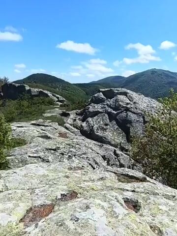 The video presents a static, wide-angle shot taken from a rocky outcrop. The foreground consists of uneven, light-grey rocks speckled with small patches of orange and dark brown. A larger, darker grey rock formation dominates the center-middle ground, while a leafy green tree stands to its right. The background is filled with rolling, forested hills under a bright blue sky dotted with fluffy white clouds. There are no visible people or animals in the scene. The camera remains still throughout the duration of the video.