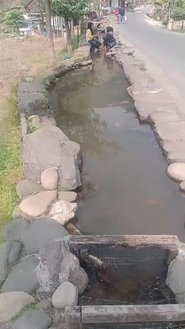 The video shows an outdoor scene with a narrow, man-made channel of water. The channel is lined with stones of various sizes, with larger rocks and some grass on the left bank and concrete on the right bank. The water appears murky, and several fish, possibly koi, are visible swimming within it. At the bottom of the channel, there is a wooden structure with a mesh grate, suggesting a water diversion or filtration system. In the background, a paved road runs parallel to the channel, with a few people walking or standing on the roadside. Two individuals are seated on the edge of the channel, dipping their feet into the water. Other people and some buildings are visible further down the road, indicating a populated area, likely a village or town. The overall impression is a natural-looking water feature integrated into a semi-urban or rural environment.
