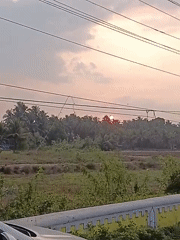 Sunset landscape with palm trees recorded in Marna, India