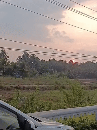 Sunset landscape with palm trees recorded in Marna, India