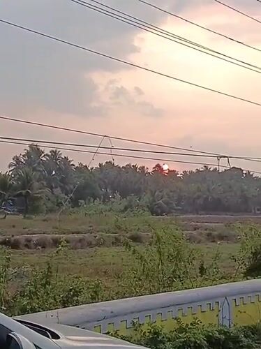 Sunset landscape with palm trees recorded in Marna, India