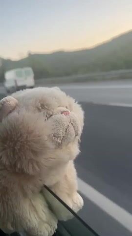 A close up video depicts a stuffed, light-colored plush toy with pink features perched on the edge of a car window. The car is moving on a highway; road markings and other vehicles are visible in the background. A billboard can be seen at one point. Trees and hills appear along the horizon, with a soft sky indicating early morning or late evening. The focus remains on the toy as it seems to 'enjoy' the ride.