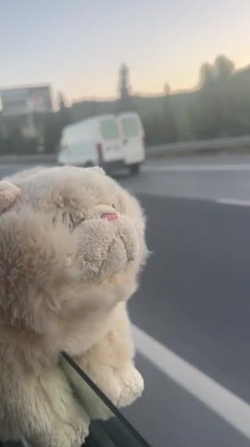 Plush toy spotted on car window during highway travel