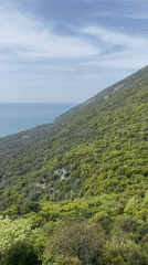 Scenic coastal views captured at Montenegro viewpoint