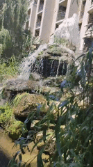 Summer morning at a Nesebar resort pool and gardens
