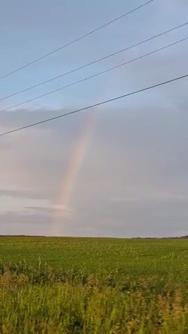 The video pans across a landscape under a cloudy sky. A faint rainbow is visible in the distance. In the foreground, there is a field of green grass with some yellow flowers. Electrical wires are strung across the top of the frame, supported by utility poles, one of which is visible on the left side of the screen. The movement of the camera suggests it is mounted on a vehicle moving along a road. The lighting indicates it is either sunrise or sunset.