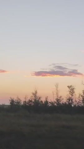The video shows a sunset scene with a vast expanse of sky transitioning from a light blue at the top to hues of pink and orange near the horizon. A few wispy clouds are visible, tinged with the same warm colors of the sunset. Below the sky, a dark silhouette of trees and shrubs forms a dense line across the middle ground. The foreground consists of a dark, out-of-focus area that appears to be a field or ground. The camera is moving, as evidenced by the slight blur and shifting perspective of the landscape. The overall impression is one of a serene, natural landscape at dusk.