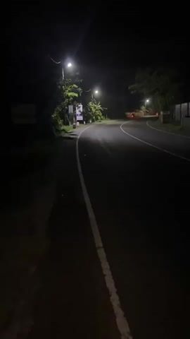 The video shows a dark, empty road at night. Streetlights illuminate sections of the asphalt, casting long shadows. Trees and foliage line the sides of the road, shrouded in darkness beyond the reach of the lights. There is no visible movement of people or vehicles in the frame.