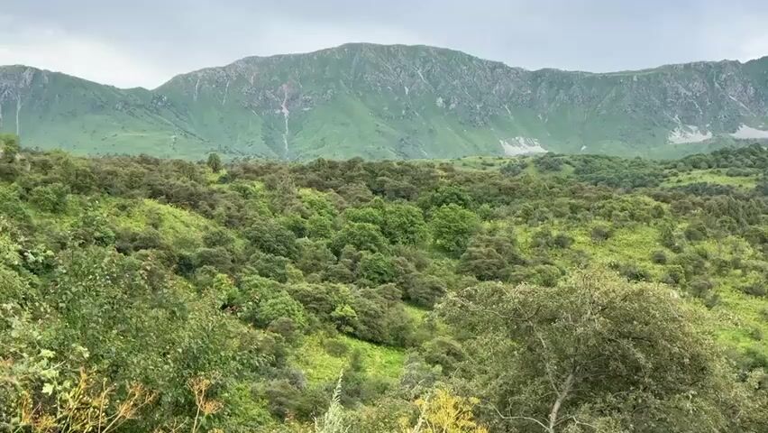 The video pans across a green, mountainous landscape under an overcast sky. The foreground features lush green foliage, including trees and bushes. The middle ground is a rolling hillside densely covered with smaller trees and shrubs. In the background, large, rugged mountains dominate the scene, with visible patches of lighter colored rock and some vegetation on their slopes. The overall impression is a natural, unpopulated wilderness.