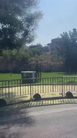 The video shows an outdoor scene with a sidewalk, a grassy area, and trees. There is a lamppost with a traffic sign and a pedestrian crossing button. An electric scooter is leaning against the lamppost. In the background, there are stone structures and foliage. The sun is shining, creating shadows and highlights. The video appears to be filmed from a moving vehicle.