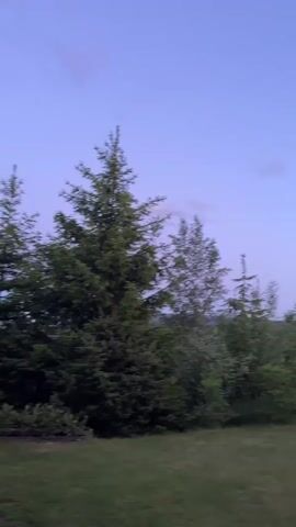 The video shows a landscape with trees and a clear sky at dusk. The camera pans to the right, revealing a stone wall and a grassy lawn in the foreground. The sky is a gradient of purple and blue, with a few scattered clouds. The trees are mostly evergreens, with some deciduous trees mixed in. The overall impression is one of peacefulness and tranquility.