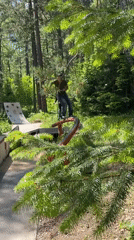 Scooter tricks at a forest skate park in Divnogorsk