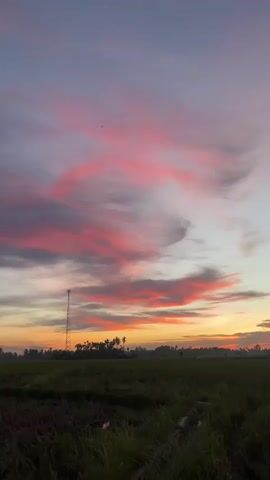The media file captures a serene sunset scene in Dayah Baroh, Indonesia. The sky is a canvas of vibrant colors, dominated by streaks of pink, orange, and yellow clouds against a backdrop of pale blue and purple. Wispy clouds create a dynamic texture, suggesting a gentle breeze.

The foreground features a lush green field, likely rice paddies, with tall grass in the immediate vicinity. A solitary cell tower stands prominently on the left side of the frame, silhouetted against the colorful sky. Beyond the field, a line of trees and vegetation forms a dark silhouette, adding depth to the landscape. The overall atmosphere is tranquil and visually striking, evoking a sense of peace and natural beauty.

The time of day is clearly sunset, indicated by the warm hues and the low angle of the sun, which is not directly visible but implied by the lighting. The weather appears calm and clear, conducive to such a picturesque sky. There is no visible text in the media file. The scene is devoid of people, emphasizing the natural landscape.