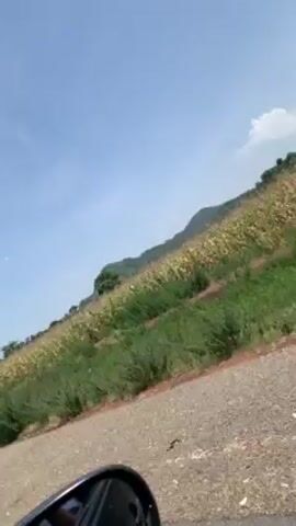 The video shows a landscape from the perspective of someone riding a motorcycle. A field of crops and a mountain are visible in the background.  Another man passes on a motorcycle in the opposite direction. The side mirror of the motorcycle that is recording the video is cracked.