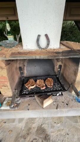 The video shows a close-up of steaks grilling on a barbecue. The steaks are placed on a metal grate over a fire pit made of bricks. A horseshoe is mounted on the brickwork above the grill. To the left of the grill, a bottle of beer is visible. To the right, a large plastic bottle of water and some tools are present. The grill area appears to be outdoors, with foliage visible in the background, suggesting a natural setting. The camera pans slightly to the right, revealing more of the surrounding greenery and a cloudy sky.