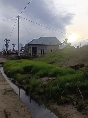 The video pans across a rural landscape. A dirt road, with visible tire tracks and puddles of muddy water, runs through the center of the frame. To the right of the road, a narrow, muddy ditch is present, bordered by overgrown green grass. Beyond the grass, a dirt mound rises, topped by a partially constructed building with a gray roof and concrete walls. In the background, several other houses, some with red roofs and others unfinished, are visible. Palm trees are scattered throughout the scene. A utility pole with wires stands to the left of the road. To the left of the road, wooden fences made of stacked logs and vertical poles are erected along the embankment, with mud and water pooled at their base. The sky is overcast with some patches of sunlight peeking through. The overall impression is of a developing or possibly recently affected area, with a mix of construction and natural elements.