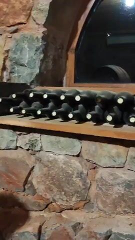 The video shows a close-up view of a wine cellar. In the foreground, a shelf holds multiple rows of dark wine bottles, some of which are dusty. The bottles are arranged horizontally, with their necks facing to the left. Behind the bottles, a wooden shelf is visible, supported by a rustic stone wall. Further back, through a glass pane, several large wooden barrels are stacked, suggesting an aging or storage area for wine. The lighting is dim, with a single light source visible in the upper right corner, reflecting off the glass. The overall environment appears old and traditional, characteristic of a wine cellar.