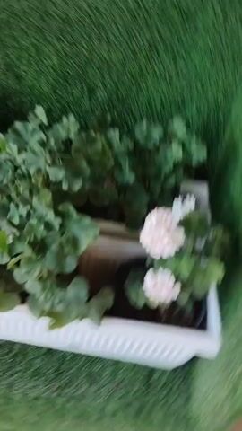 A panning shot shows a vertical planter with multiple white tiers, each containing flowering plants with green leaves and small pink and red blossoms. The planter is set against a backdrop of green artificial turf. The camera moves from a close-up of a lower tier to a wider view of the entire planter, revealing the extent of the greenery and blooms.