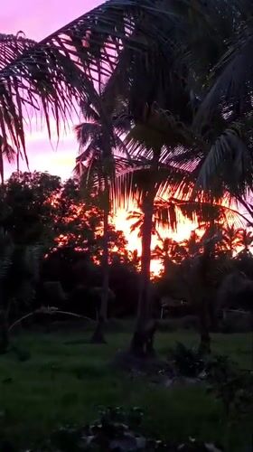 Palm-framed sunset over Kiblawan at twilight