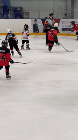 Youth hockey game and museum displays documented in Votkinsk