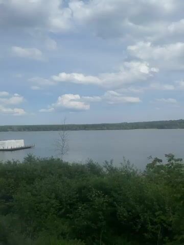 The video features a slow horizontal pan from left to right, showcasing a wide body of water, possibly a river or large lake, under a partly cloudy sky. In the foreground, dark green foliage, including bushes and a leafy tree that briefly obstructs the view, occupies the lower portion of the frame. On the water, a dark, flat-bottomed vessel resembling a barge or floating platform is visible, with a section on its right side covered in white material. A bare, slender tree trunk stands upright in the water further from the foreground. In the distance, a continuous treeline marks the opposite bank of the water. The water itself appears calm. The camera movement shifts the view, causing the barge to move from the left to the right side of the frame relative to the foreground foliage.