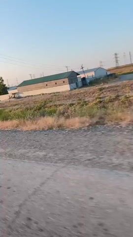 The video shows a blurry, low-angle view of a dirt road and surrounding dry vegetation. In the background, there are several industrial-looking buildings with tan walls and green roofs. The sky is clear and light blue, suggesting daytime. There are power lines visible in the distance. The perspective suggests the video was filmed from a moving vehicle, likely a car, looking out the side window. No people or animals are clearly visible.