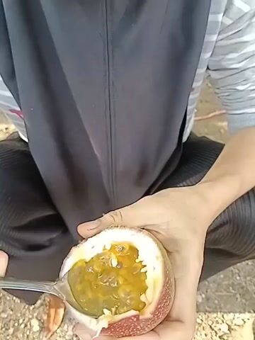 A person wearing a black hijab and a striped shirt is sitting outdoors, holding a halved passion fruit in their left hand. They are using a spoon in their right hand to scoop out the pulp from the fruit and bring it to their mouth, eating it. The background shows some foliage and a blurred structure.