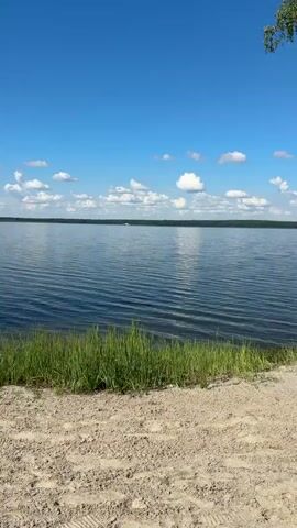 A wide shot of a calm lake under a bright blue sky with scattered white clouds. In the foreground, there is a sandy shore with green grass. To the right, a red and white boat is partially visible, resting on the shore. A tall birch tree with green leaves hangs over the scene from the upper right. The lake stretches to the horizon, with a dark line of trees visible in the distance. Several small orange buoys are floating in the water. A sign with a red circle and a diagonal line over a silhouette of a person swimming is attached to a pink pole near the boat.