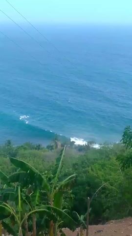 This media file is a short video clip showing a scenic view of a coastline. The subjects include the ocean, lush green vegetation, and what appear to be utility lines stretching across the frame. The scene is a natural landscape, likely a tropical or subtropical environment given the dense foliage and palm trees visible. The setting is elevated, looking down towards the sea.

No specific activity or event is clearly taking place beyond the natural movement of the waves and the gentle sway of the vegetation. The time of day appears to be daytime, with bright, diffused light suggesting either overcast conditions or the soft light of early morning or late afternoon. The weather seems calm, with moderate waves breaking on the shore.

Notable details include the vibrant blue of the ocean, the deep green of the trees, and the presence of power lines, which are a man-made element in the natural setting. The overall emotion conveyed is one of tranquility and natural beauty. There is no visible text within the video. The location context provided is El Tigrillo, Venezuela.