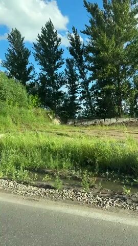 The video shows a view from a moving vehicle looking out at a roadside environment. On the left, a grassy embankment is visible, with trees and a blue sky with clouds overhead. The road itself is in the foreground, with gravel and some debris along the shoulder. The scene appears to be a rural or semi-rural area with abundant vegetation.