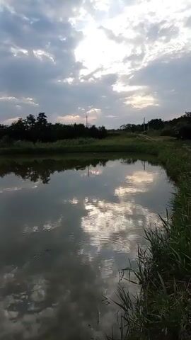A vertical video shows a serene natural landscape during what appears to be sunset or sunrise. The sky is filled with a mix of dark and light clouds, with the sun peeking through, creating rays of light. Below the sky, a dark silhouette of trees and vegetation forms the horizon line. In the foreground, a calm body of water reflects the sky and the silhouettes, creating a mirror image. The water's edge on the right side shows some tall green grass. The overall impression is peaceful and tranquil.