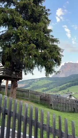 The video displays a scenic mountain landscape. In the foreground, a weathered wooden fence borders a lush green lawn. A tall evergreen tree with dark green foliage is partially visible on the left side of the frame, its branches extending over the fence. Behind the fence, a charming village with houses and smaller structures is nestled amidst rolling green hills. The mid-ground is dominated by these verdant hills, dotted with trees and small buildings. In the background, a majestic mountain range with rocky cliffs and forested slopes rises towards a bright blue sky with scattered white clouds. The lighting suggests it is either early morning or late afternoon, with soft light illuminating the scene.